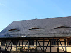 Fledermausgauben in Garbisdorf