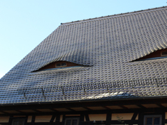 Fledermausgauben in Garbisdorf